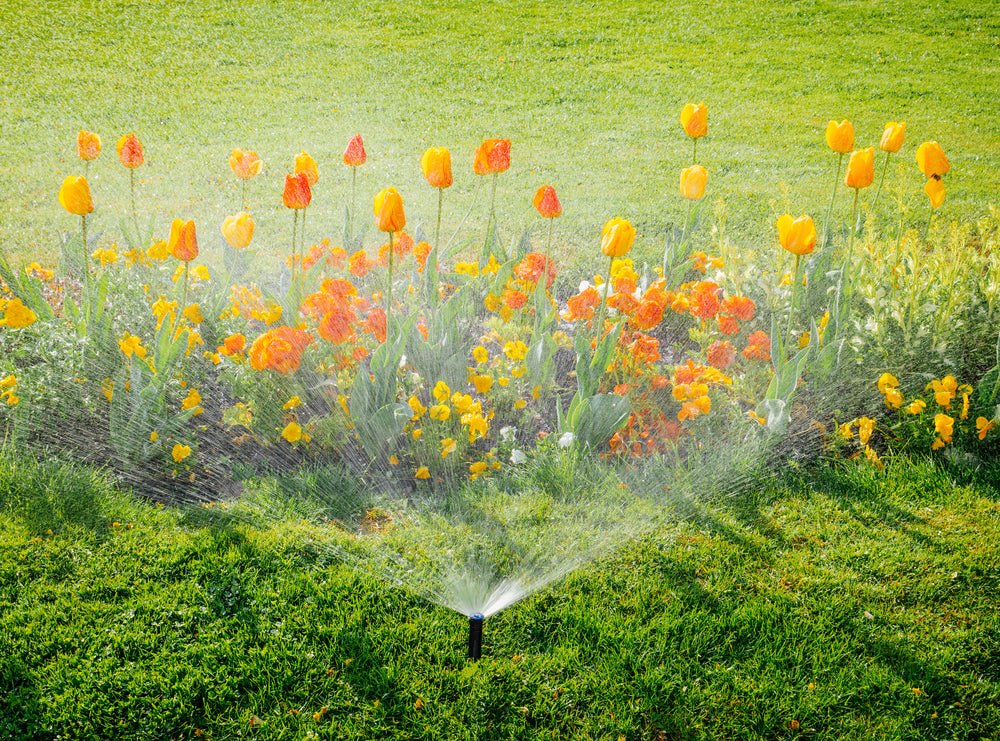 From Drip to Sprinklers: Choosing the Ideal Irrigation System for Your Home - Soildrops