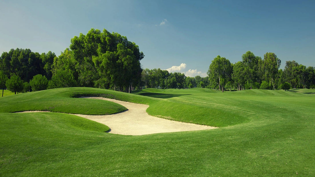 The Homeowner's Handbook to Zoysia: How to Plant and Care for Zoysia Grass - Soildrops