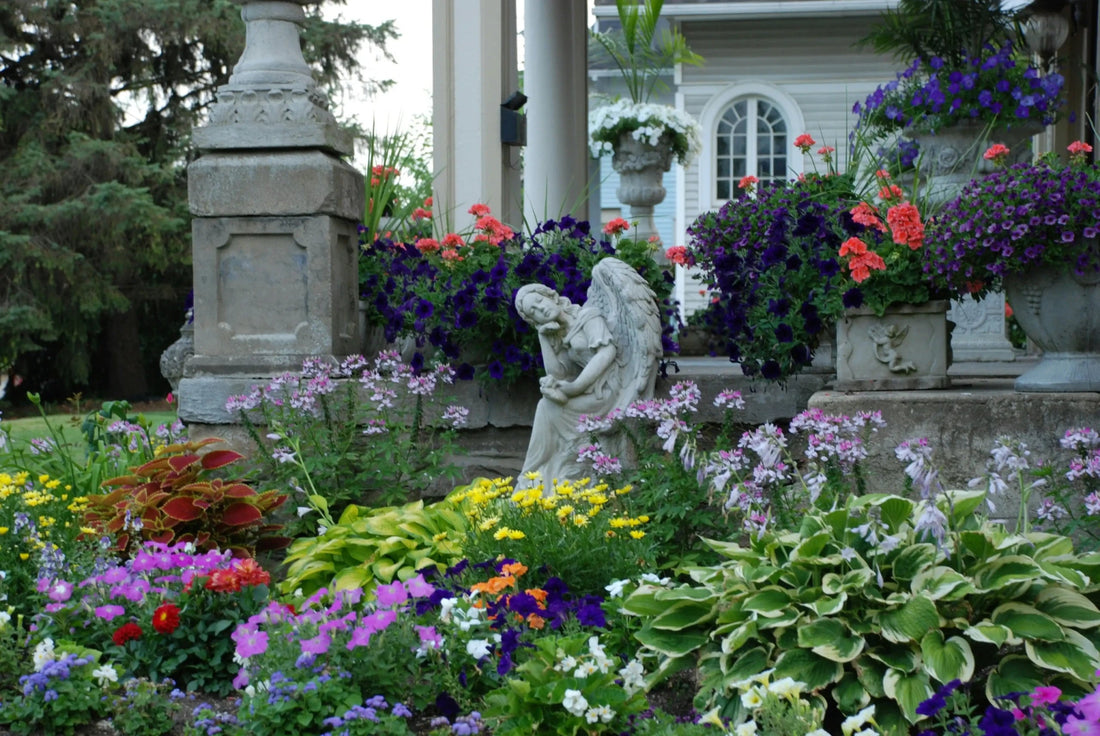 Water Wisely: How to Choose the Best Garden Watering System - Soildrops