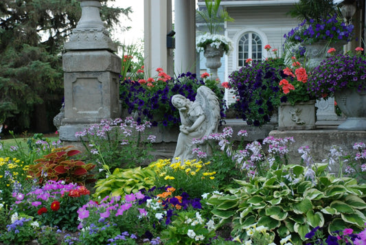 Water Wisely: How to Choose the Best Garden Watering System - Soildrops
