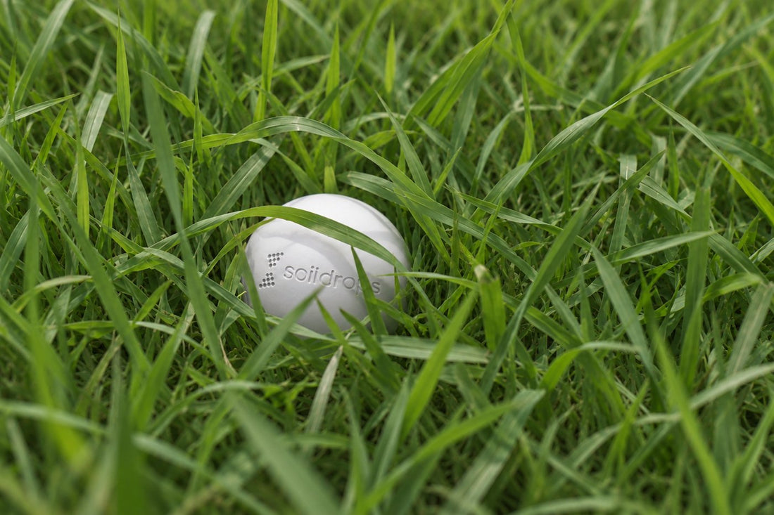 The sensor sitting low in the grass
