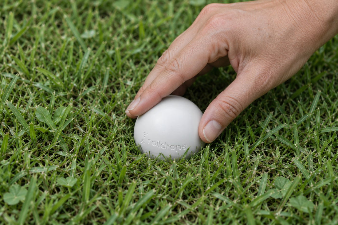 A hand pushing the sensor into a lawn