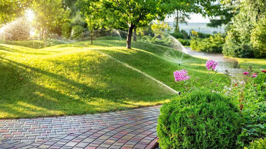 Do Sprinkler Systems Really Boost Home Value? Discover Why They Do! - Soildrops
