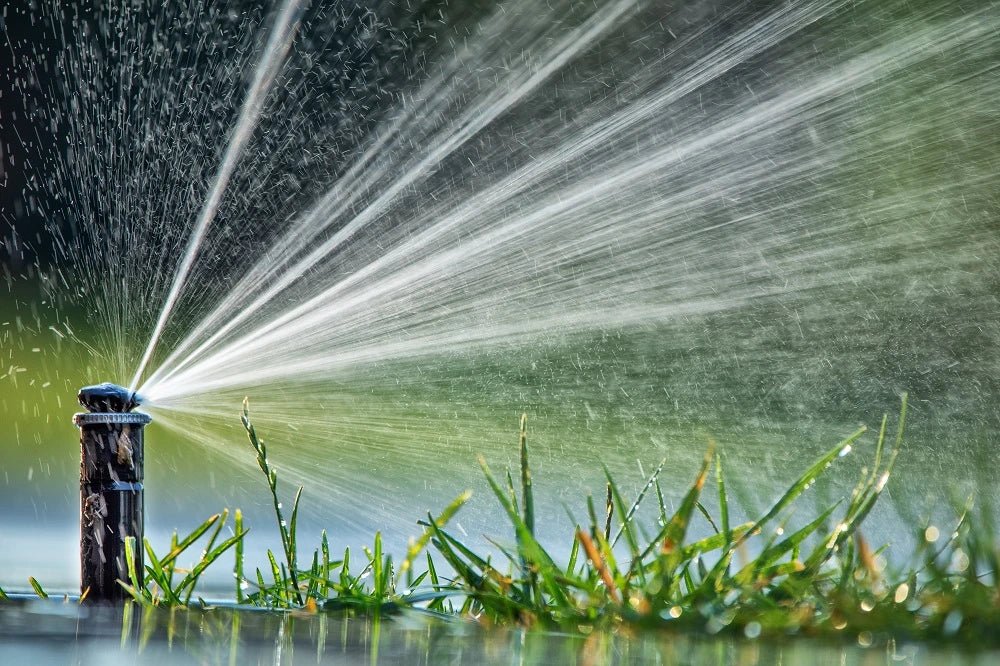 How to Find an Irrigation System Leak? Soildrops
