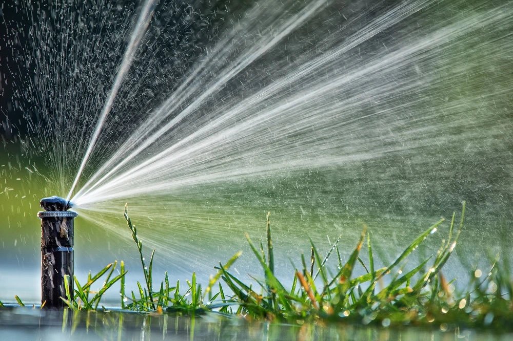 Don't Let Leaks Drain Your Wallet: How to Find an Irrigation System Leak - My Store