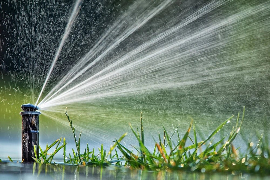 How to Find an Irrigation System Leak? Soildrops