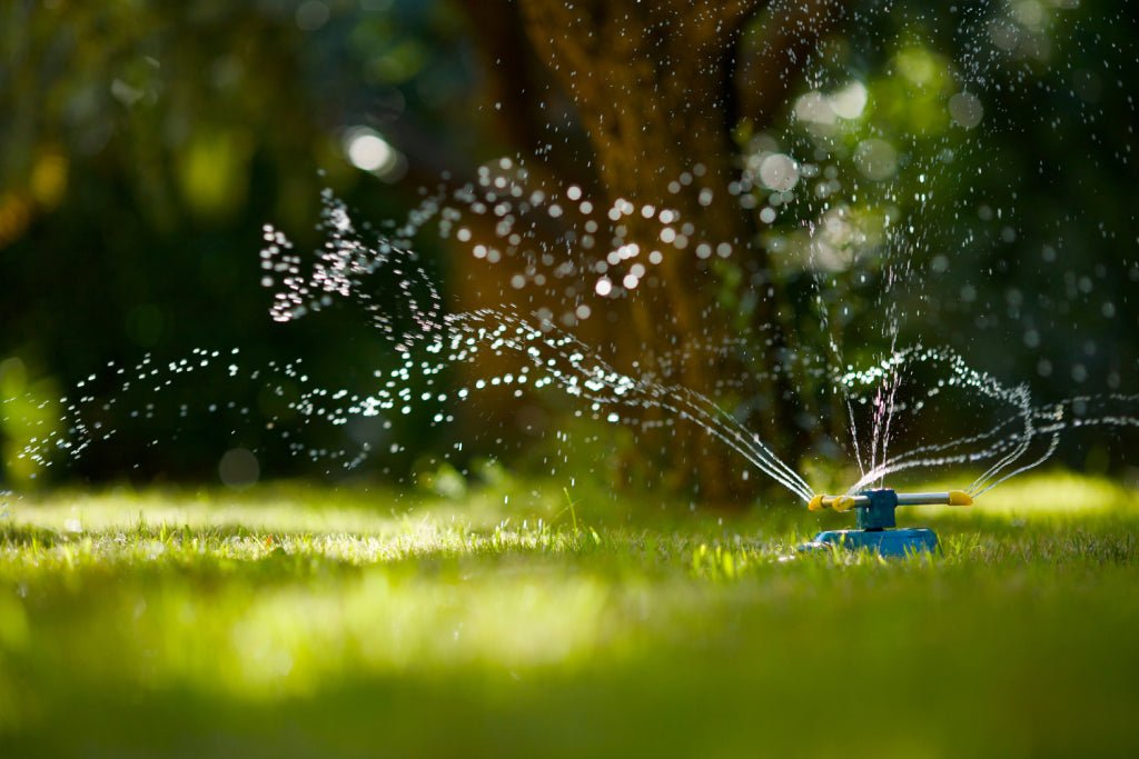 Fall is the Best Time to Install a Sprinkler System: Here’s Why - My Store