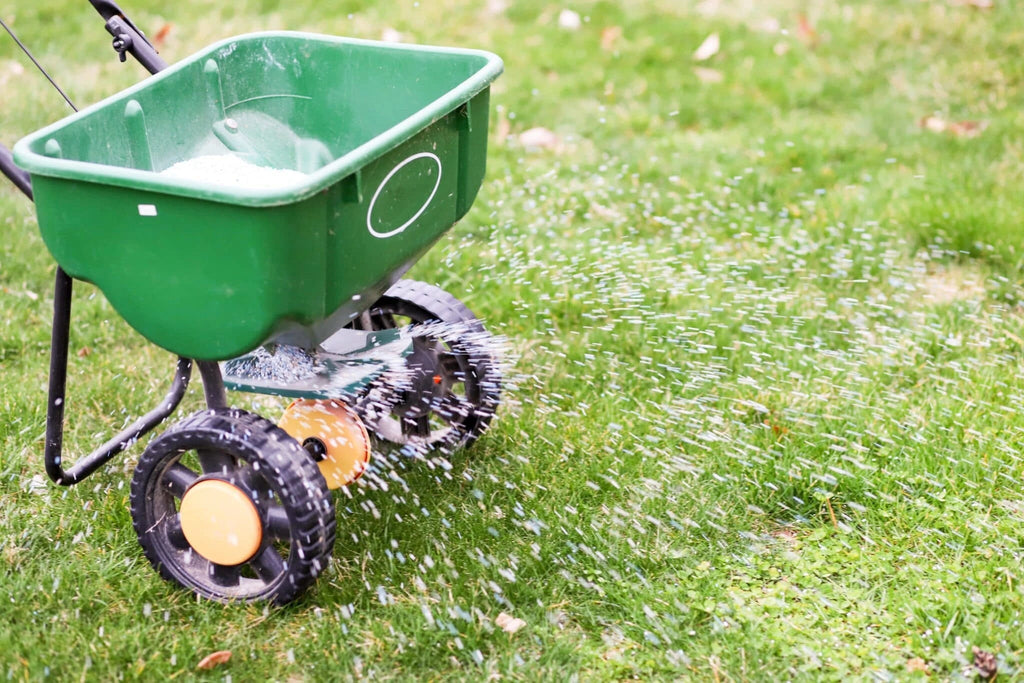 Fertilizing Grass Lawns like a Pro: A Homeowner's Guide to Doing it Right - My Store