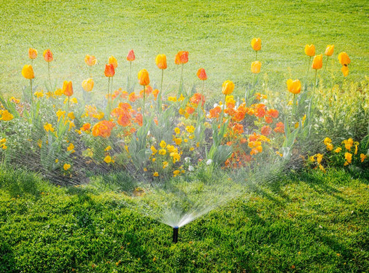 From Drip to Sprinklers: Choosing the Ideal Irrigation System for Your Home - Soildrops