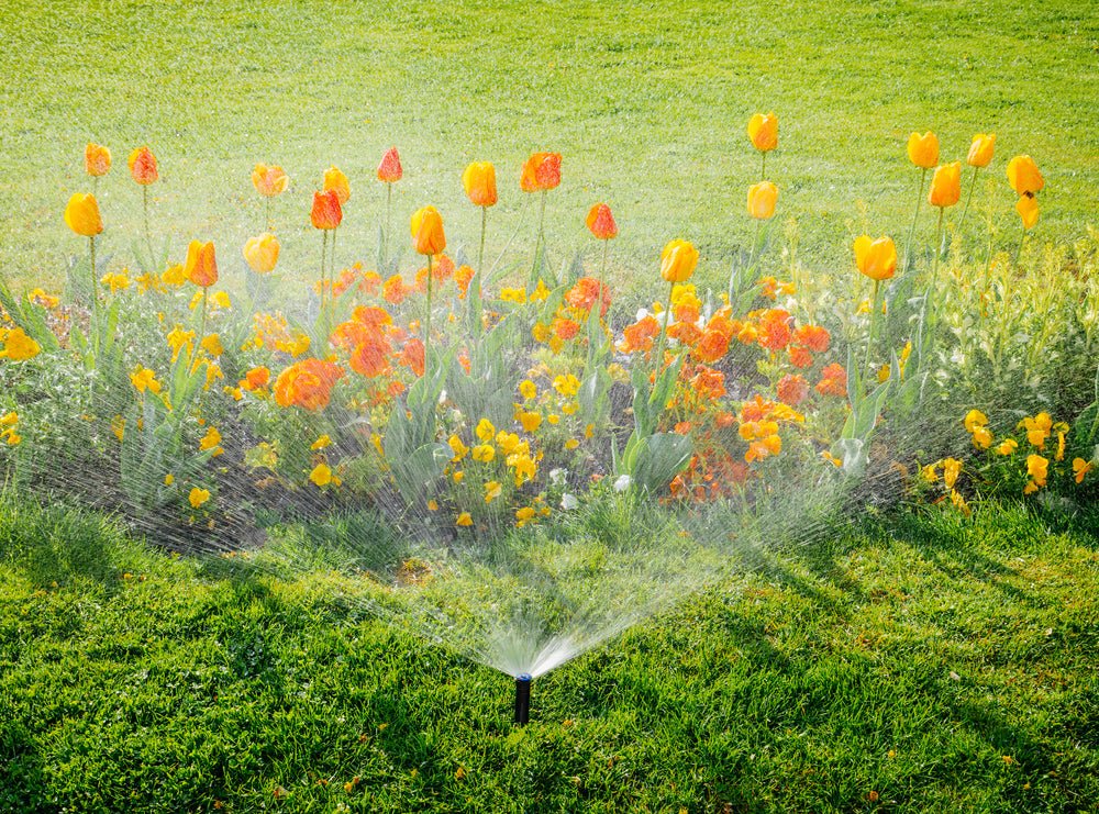 From Drip to Sprinklers: Choosing the Ideal Irrigation System for Your Home - My Store