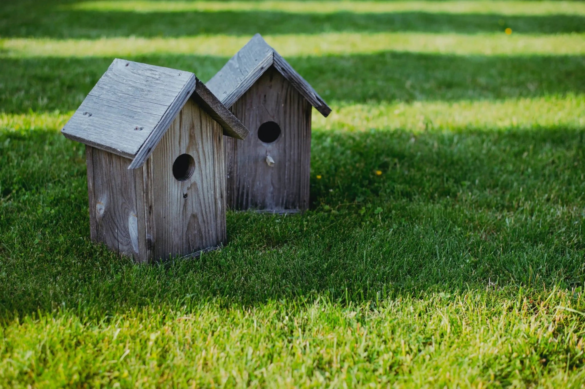 What is the Best Irrigation Method for Your Lawn? – Soildrops