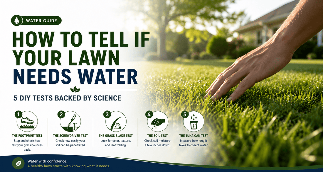 How to Tell If Your Lawn Needs Water: 5 DIY Tests Backed by Science - Soildrops