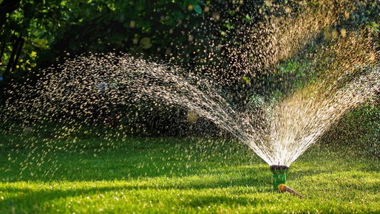 Making The Smartest Choice: How to Choose a Smart Irrigation Controller for Your Needs - Soildrops