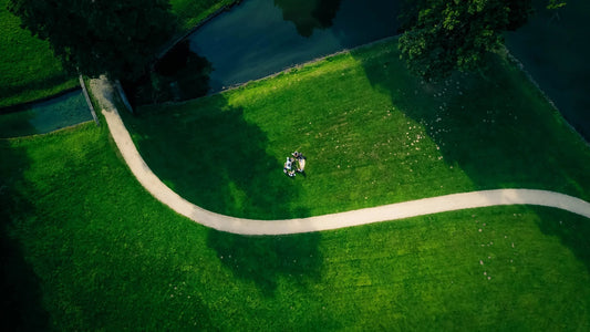 New Home, New Lawn: The Complete Lawn Care Handbook for New Homeowners - Soildrops