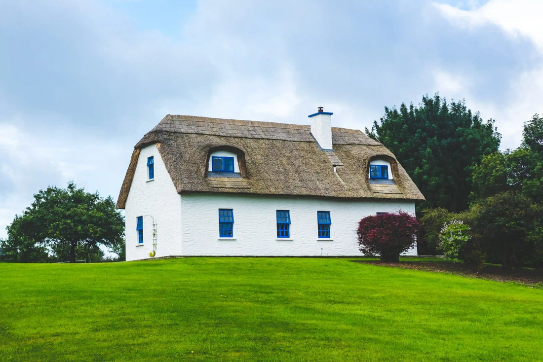 Rescue Your Lawn: Proven Tips on How to Fix Lawn Damage - Soildrops