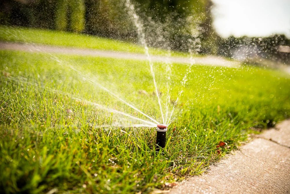 Smart Irrigation Controllers: Maintenance Tips for Every Season - My Store