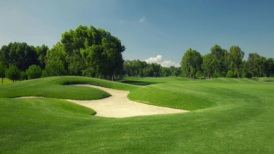 The Homeowner's Handbook to Zoysia: How to Plant and Care for Zoysia Grass - Soildrops