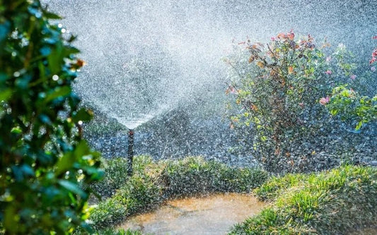 Traditional vs. Smart Irrigation Controller: Choose the Right One for Your Needs - Soildrops