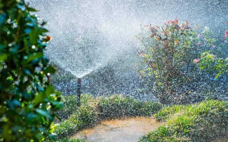 Traditional vs. Smart Irrigation Controller: Choose the Right One for Your Needs - My Store