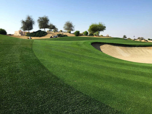 Your Perennial Ryegrass Handbook: Growing and Caring for a Stunning Lawn - Soildrops