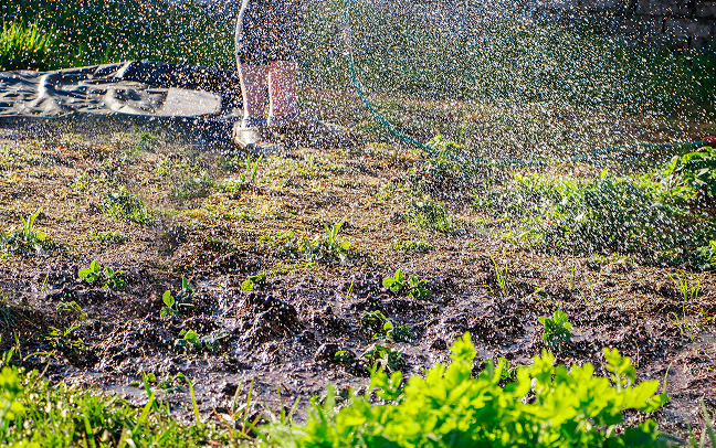 Overwatering