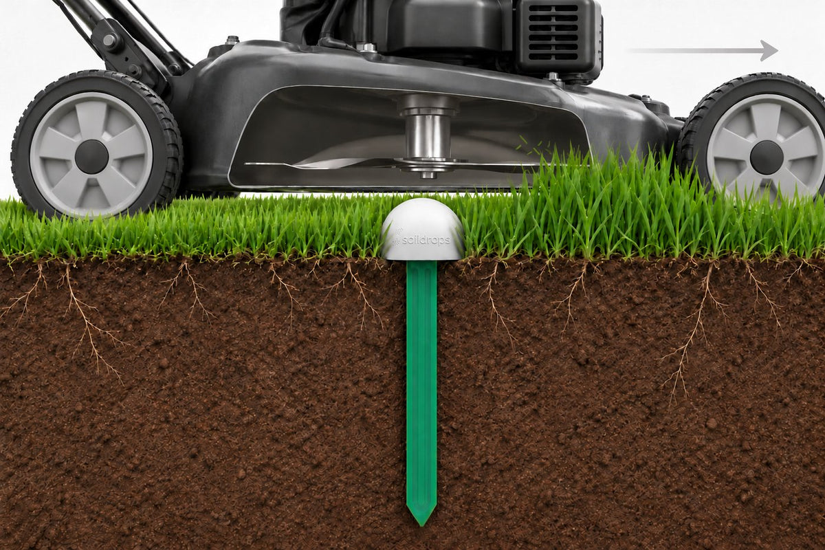 Cutaway: a mower passing over the SoilDrops sensor, which sits just above the grass line while its probe reads moisture at root depth