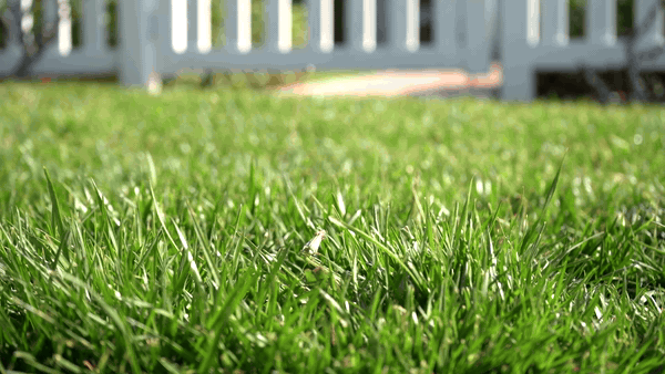 Smart Soil Moisture Sensor(White)